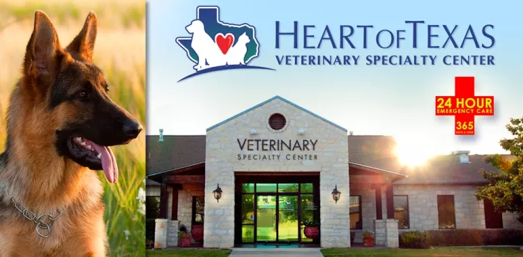 Heart of Texas Veterinary Specialty & 24 Hour Emergency Center, Texas, Round Rock